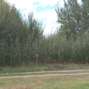 Lote AMPLIO ¡740m2! en Costa del Este!!!