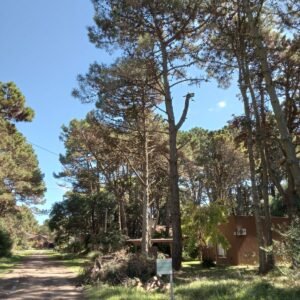 LOTE 555 m2 en Costa del Este Calle GARDENIAS