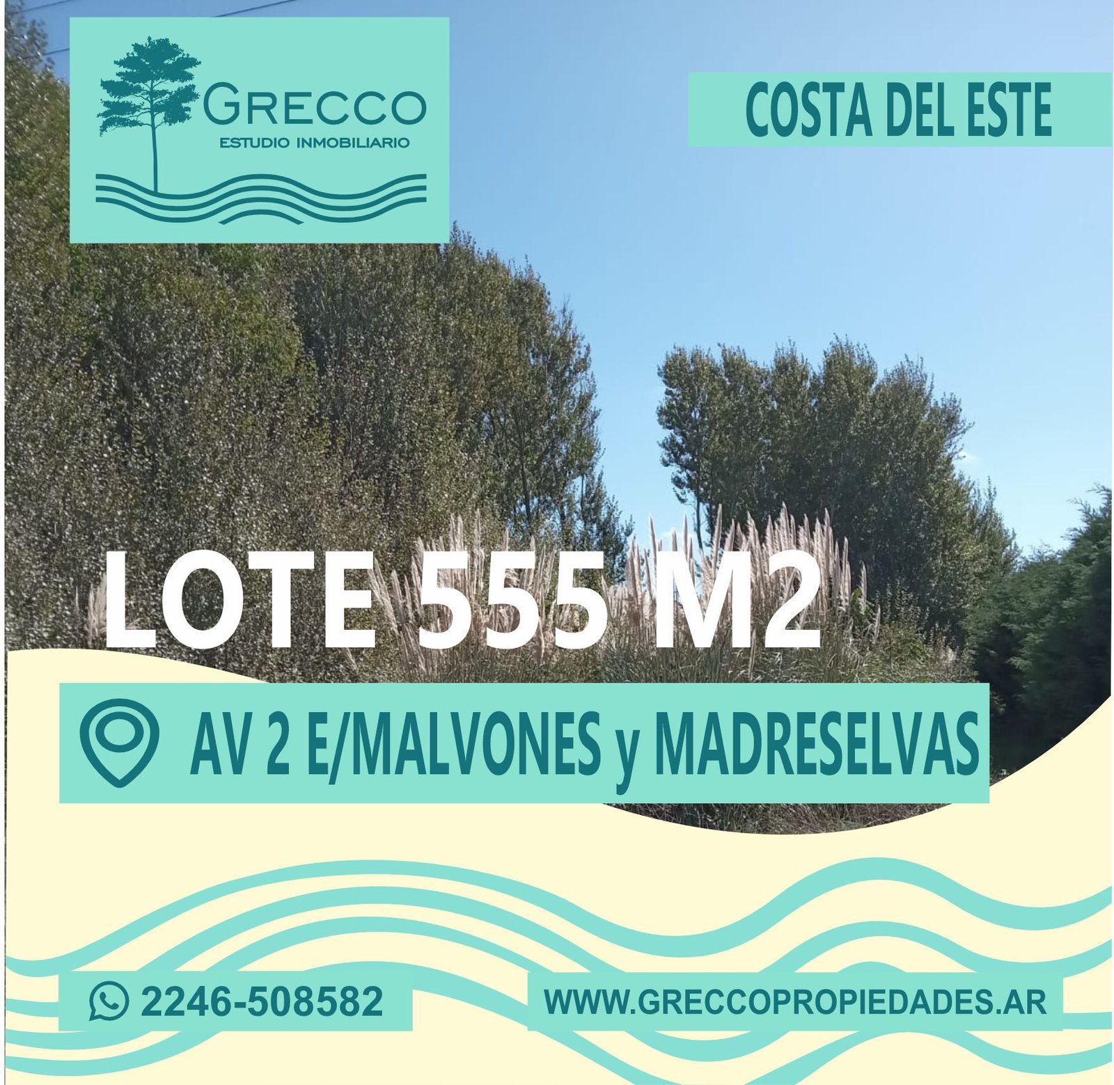 lote