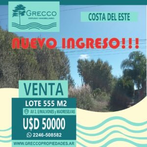 LOTE AV. 2 Y MADRESELVAS