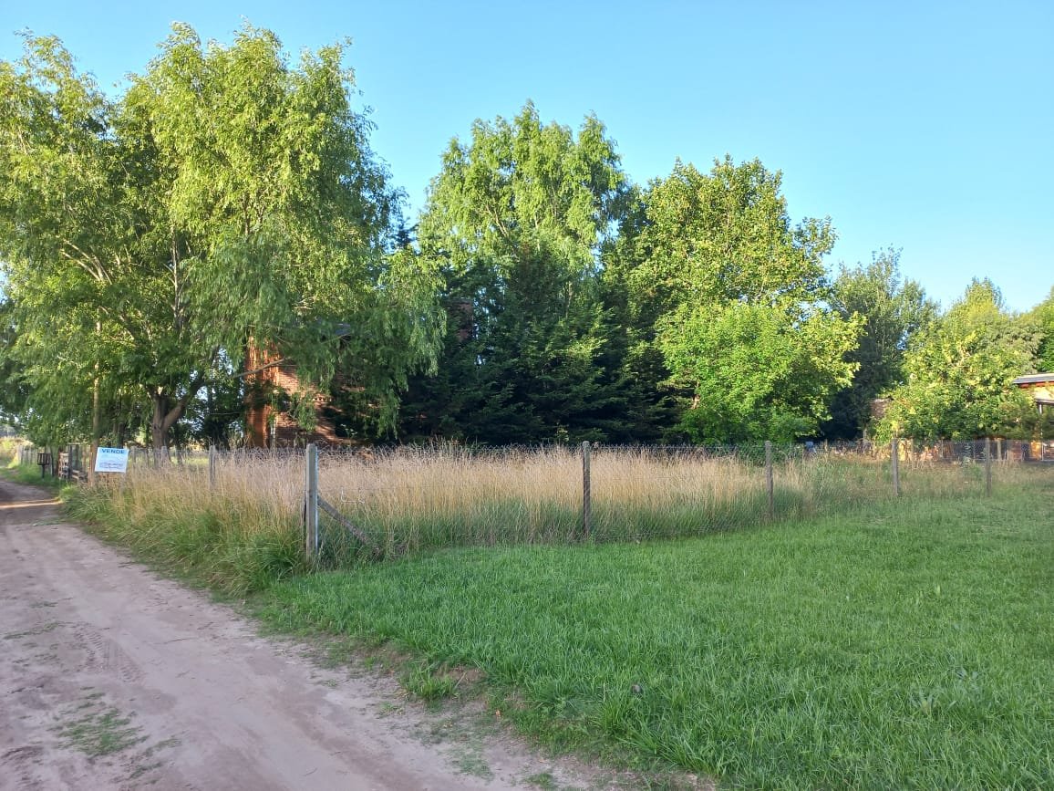 WhatsApp Image 2026-01-22 at 17.50.20 (1)