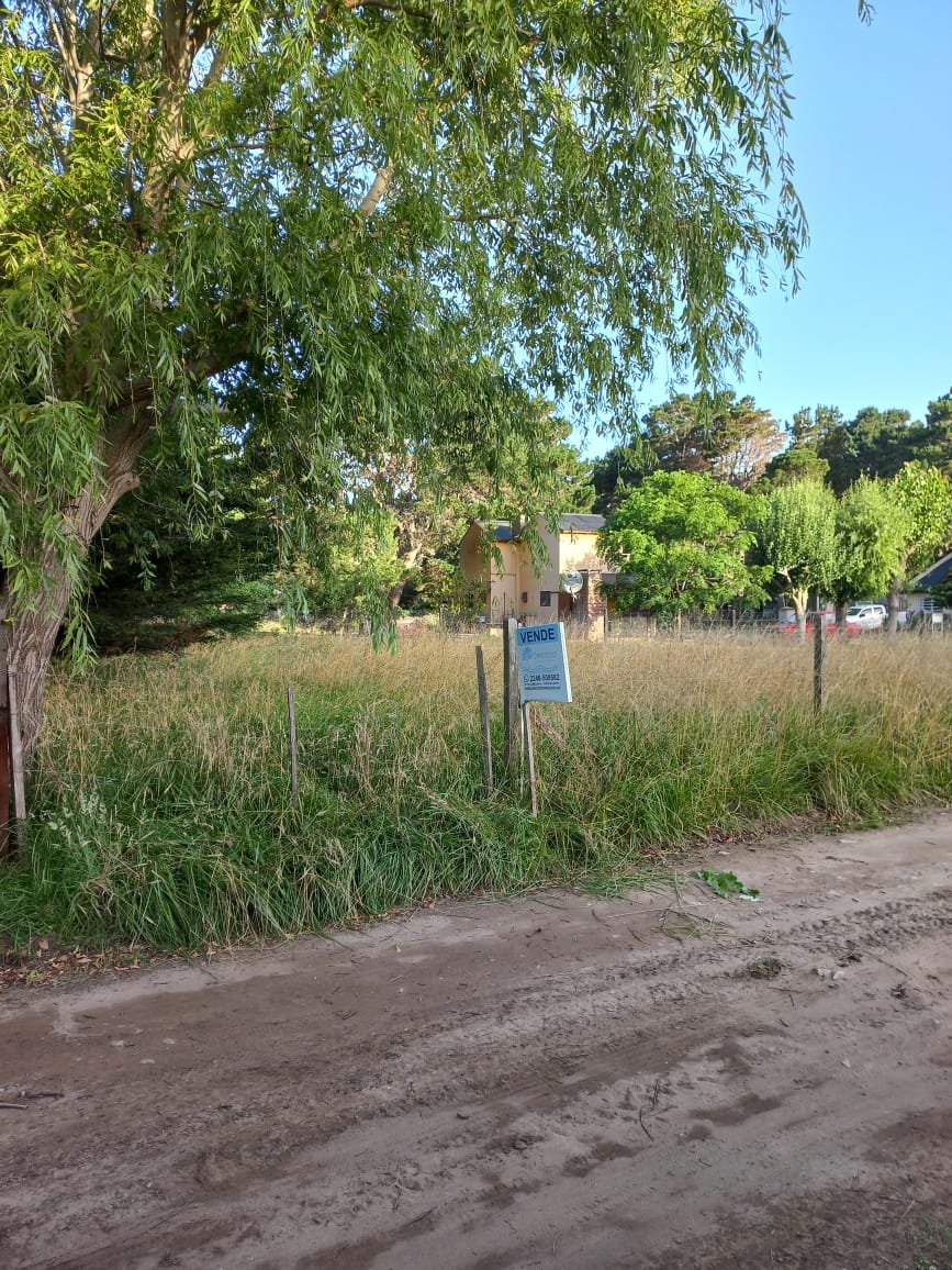 WhatsApp Image 2026-01-22 at 17.50.20