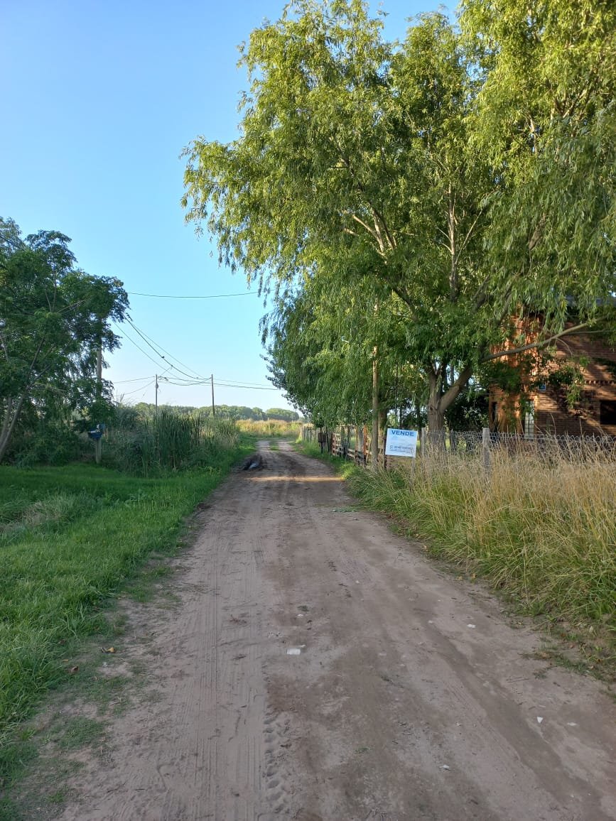 WhatsApp Image 2026-01-22 at 18.01.00 (1)