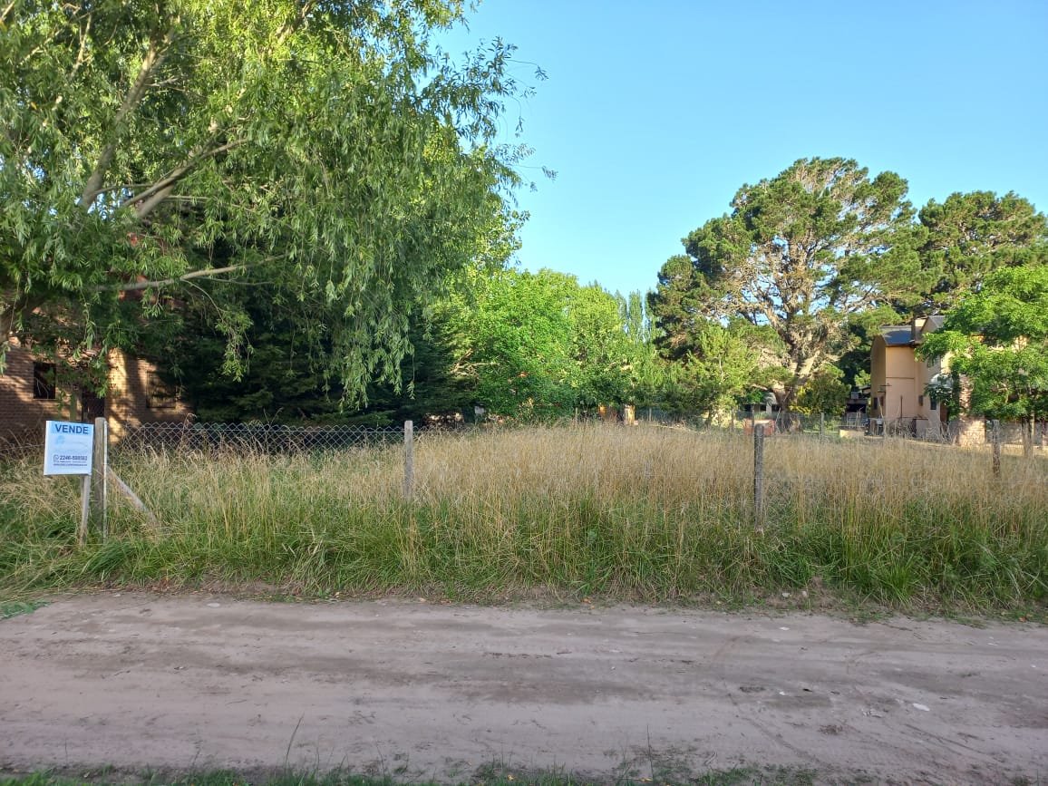 WhatsApp Image 2026-01-22 at 18.01.00 (2)