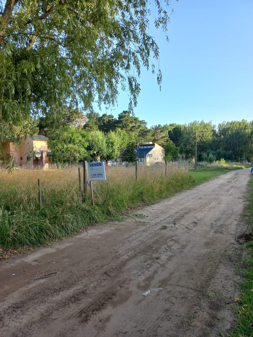 WhatsApp Image 2026-01-22 at 18.01.00