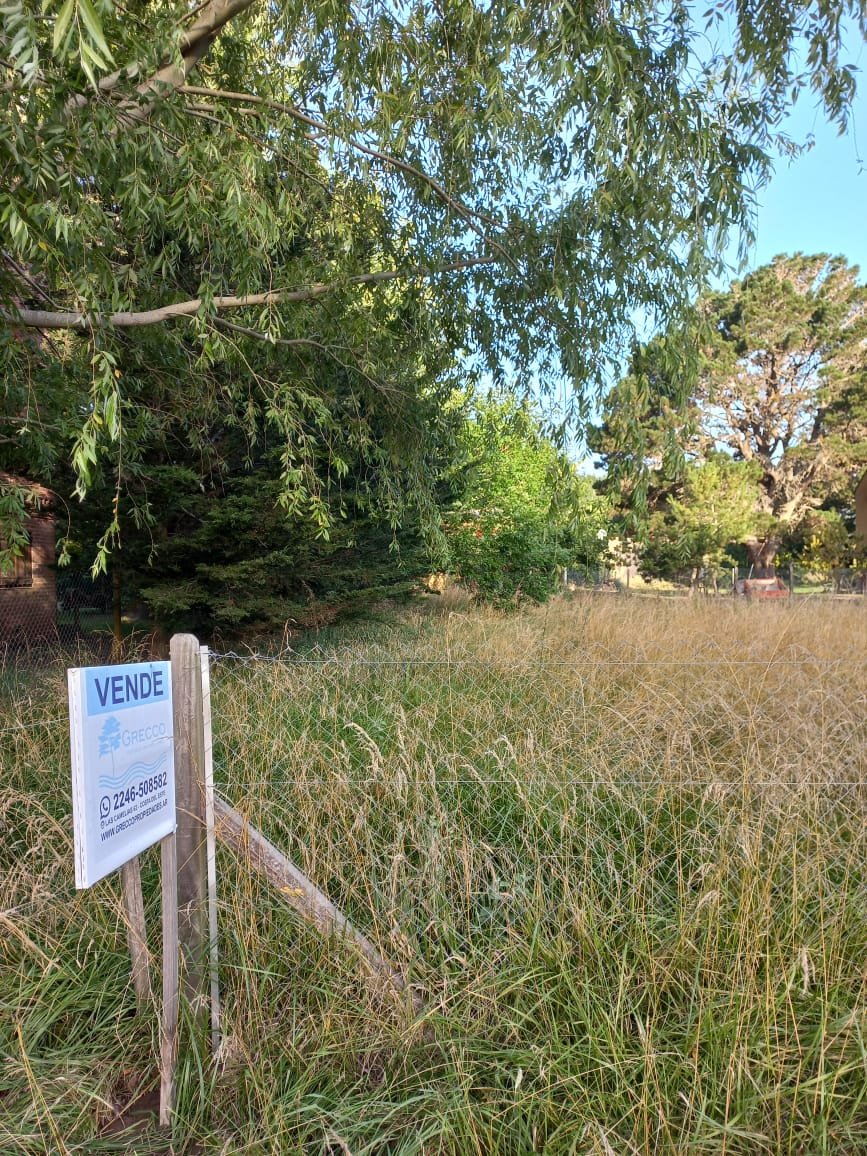 WhatsApp Image 2026-01-22 at 18.01.01 (1)