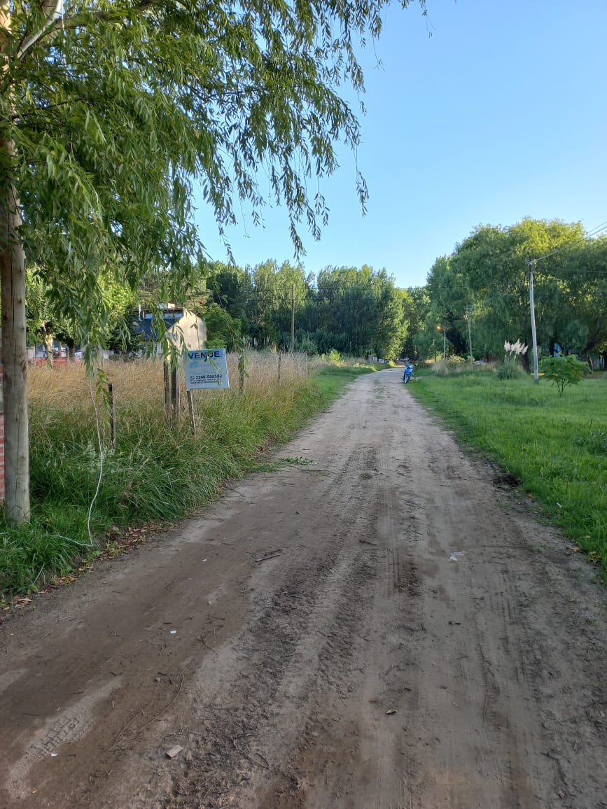 WhatsApp Image 2026-01-22 at 18.01.01